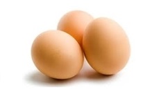 eggs